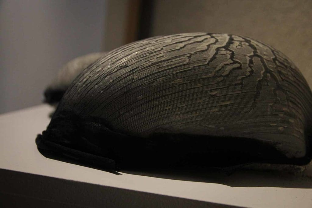 expo_annexe_marielle_bennezon (24)-2